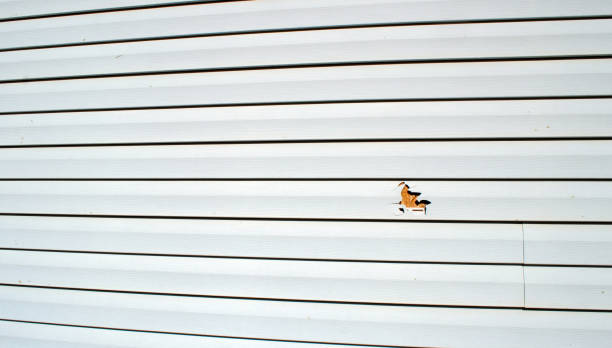 Affordable siding repair and maintenance services in East Port Orchard, WA